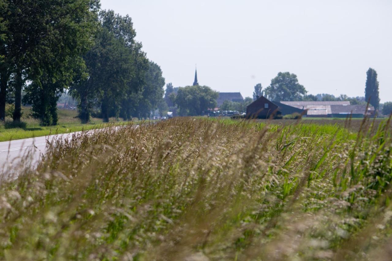 Eglizen *